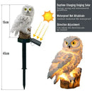 DecorBites™ Solar Owl Garden Light - Decorative, Waterproof LED