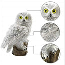 DecorBites™ Solar Owl Garden Light - Decorative, Waterproof LED