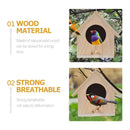 DecorBites™ Squirrel Feeder Birdhouse Kit with Hummingbird Camera