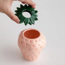DecorBites™ Strawberry Shaped Ceramic Planter Pot