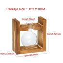 DecorBites™ Transparent Avocado Seed Starter Vase