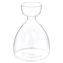 DecorBites™ Transparent Avocado Seed Starter Vase