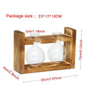 DecorBites™ Transparent Avocado Seed Starter Vase