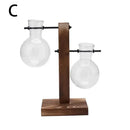 DecorBites™ Transparent Avocado Seed Starter Vase