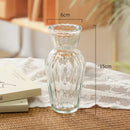 DecorBites™ Transparent Nordic Vase for Plants and Flowers