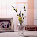 DecorBites™ Transparent Nordic Vase for Plants and Flowers