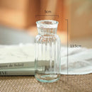 DecorBites™ Transparent Nordic Vase for Plants and Flowers