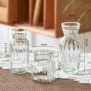 DecorBites™ Transparent Nordic Vase for Plants and Flowers