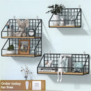 DecorBites™ Wall Mounted Storage Shelves and Baskets