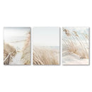 DecorBites™ White Seascape Canvas Set - Beach & Botanical Wall Art