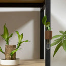Modern dark wood magnetic test tube vase living room wall decor