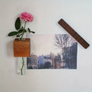 Modern dark wood magnetic test tube vase living room wall decor