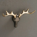 DecorBites™ Brass Wall Mount Robe Hooks for Bathroom and Door - Towel, Hat, Coat Holder