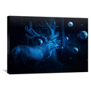 Deer Cosmos Canvas