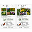 Deer & Rabbit Resistent Wildflower Bundle | Tall & Short Mini Mixes | Prairie Legacy Inc.