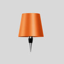 Delfi Wireless Bottle Lamp