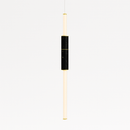 Delia Pendant Light