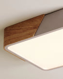 Delphi Ceiling Light