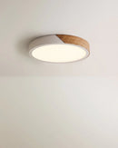 Delphi Ceiling Light