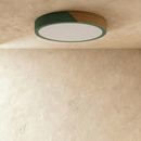 Delphi Ceiling Light