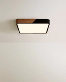Delphi Ceiling Light