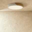 Delphi Ceiling Light