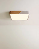 Delphi Ceiling Light