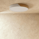 Delphi Ceiling Light