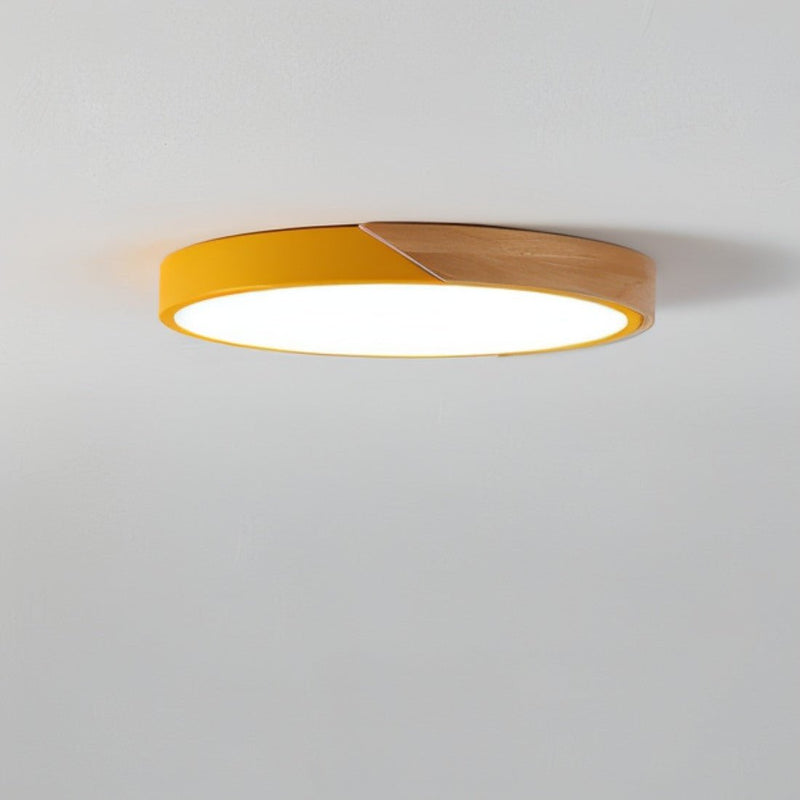 Delphi Ceiling Light