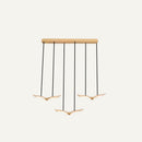 Deng Indoor Chandeliers