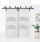 Quadro 4266 White Silk Barn Door Slab with Frosted Glass