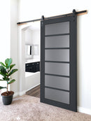 Veregio 7602 Antracite Barn Door with Frosted Glass and Black Rail