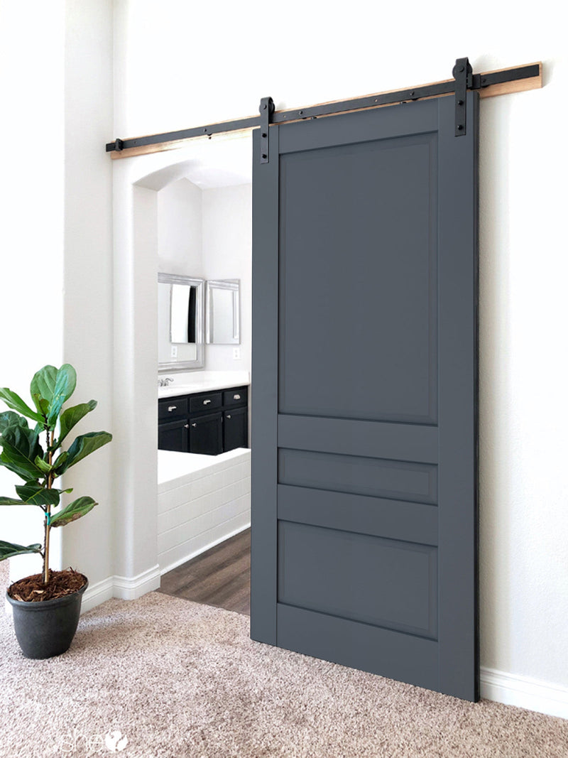 Veregio 7411 Antracite Barn Door and Black Rail