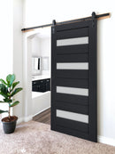 Veregio 7455 Antracite Barn Door with Frosted Glass and Black Rail