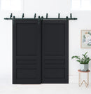 Veregio 7411 Antracite Double Barn Door and Black Bypass Rail