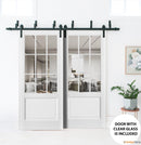 Felicia 3599 Matte White Double Barn Door with 9 Lites Clear Glass | Black Bypass Rails