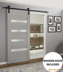Quadro 4113 Grey Ash Barn Door with Frosted Glass and Black Rail
