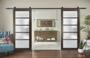 Quadro 4002 Chocolate Ash Double Barn Door with Frosted Glass and Black Rail