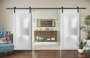 Planum 2102 Matte White Double Barn Door with Frosted Glass | Black Rail