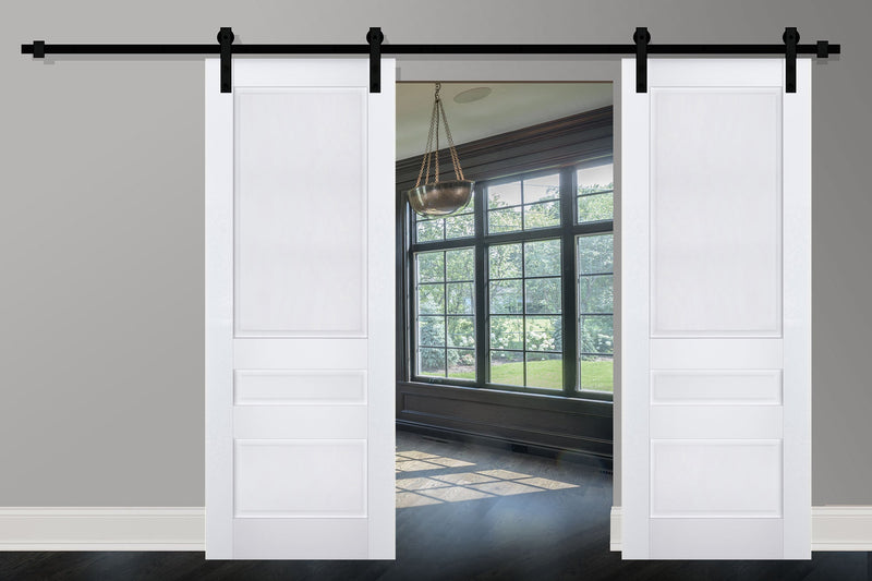 Veregio 7411 Matte White Double Barn Door and Black Rail