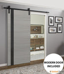 Planum 0040 Grey Ash Barn Door with Black Glass and Black Rail
