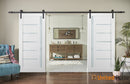 Quadro 4088 Matte White Double Barn Door with Frosted Glass | Black Rail