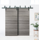 Planum 0020 Ginger Ash Double Barn Door and Black Bypass Rail