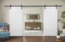 Quadro 4115 Matte White Double Barn Door | Black Rail