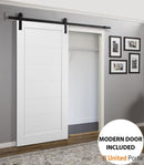 Quadro 4115 White Silk Barn Door and Black Rail