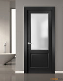 Lucia 22 Matte Black Barn Door Slab with Frosted Glass
