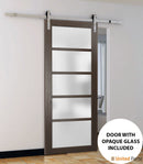Quadro 4002 Chocolate Ash Barn Door with Frosted Glass and Silver Rail