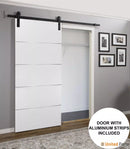 Planum 0020 White Barn Door and Black Rail