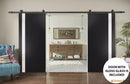Planum 0040 Matte Black Double Barn Door with White Glass and Black Rail
