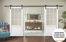 Felicia 3599 Matte White Double Barn Door with 9 Lites Clear Glass | Black Rail
